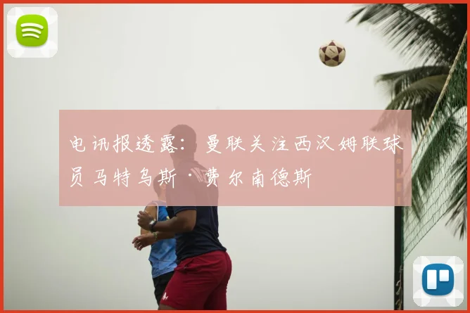 电讯报透露:曼联关注西汉姆联球员马特乌斯·费尔南德斯